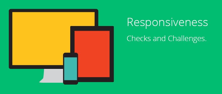 Responsiveness: Checks and Challenges