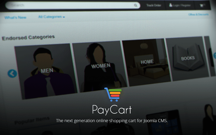 Behind the Scene - Design and Evolution of PayCart and its Logo