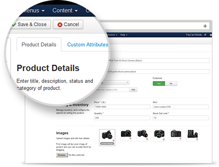 Sell digital or downloadable products online with PayCart