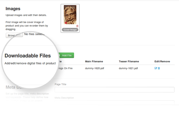 Downloadable Files in Digital Downloads