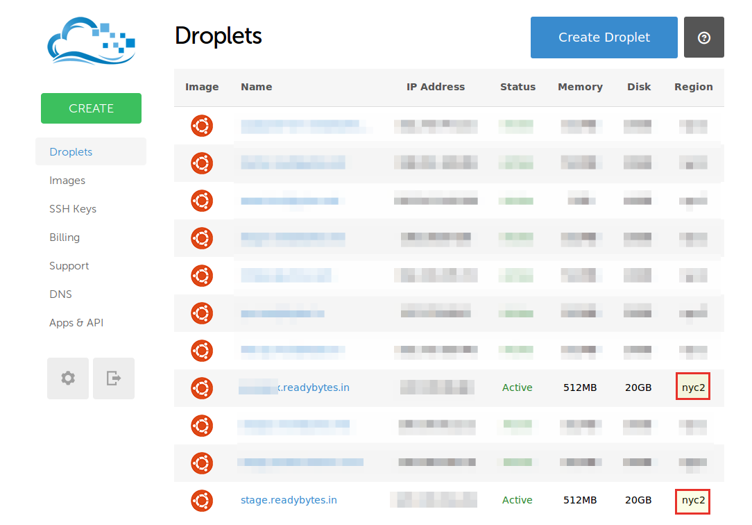choose-the-droplet-snapshot