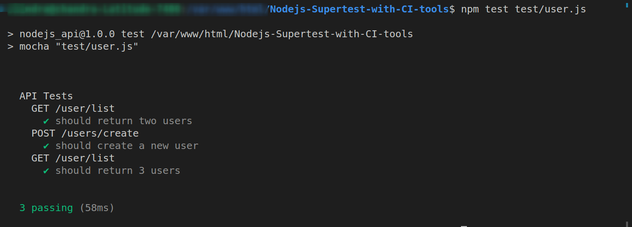 NodeJS Testing Command Results