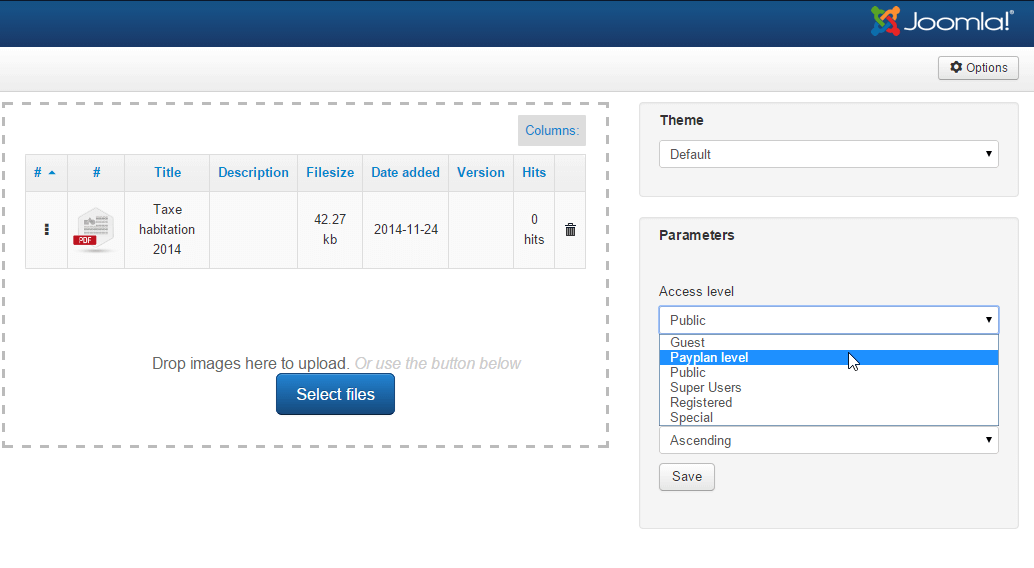 Assign The Access Level to The Category