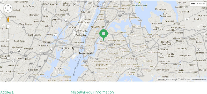 Google Map API